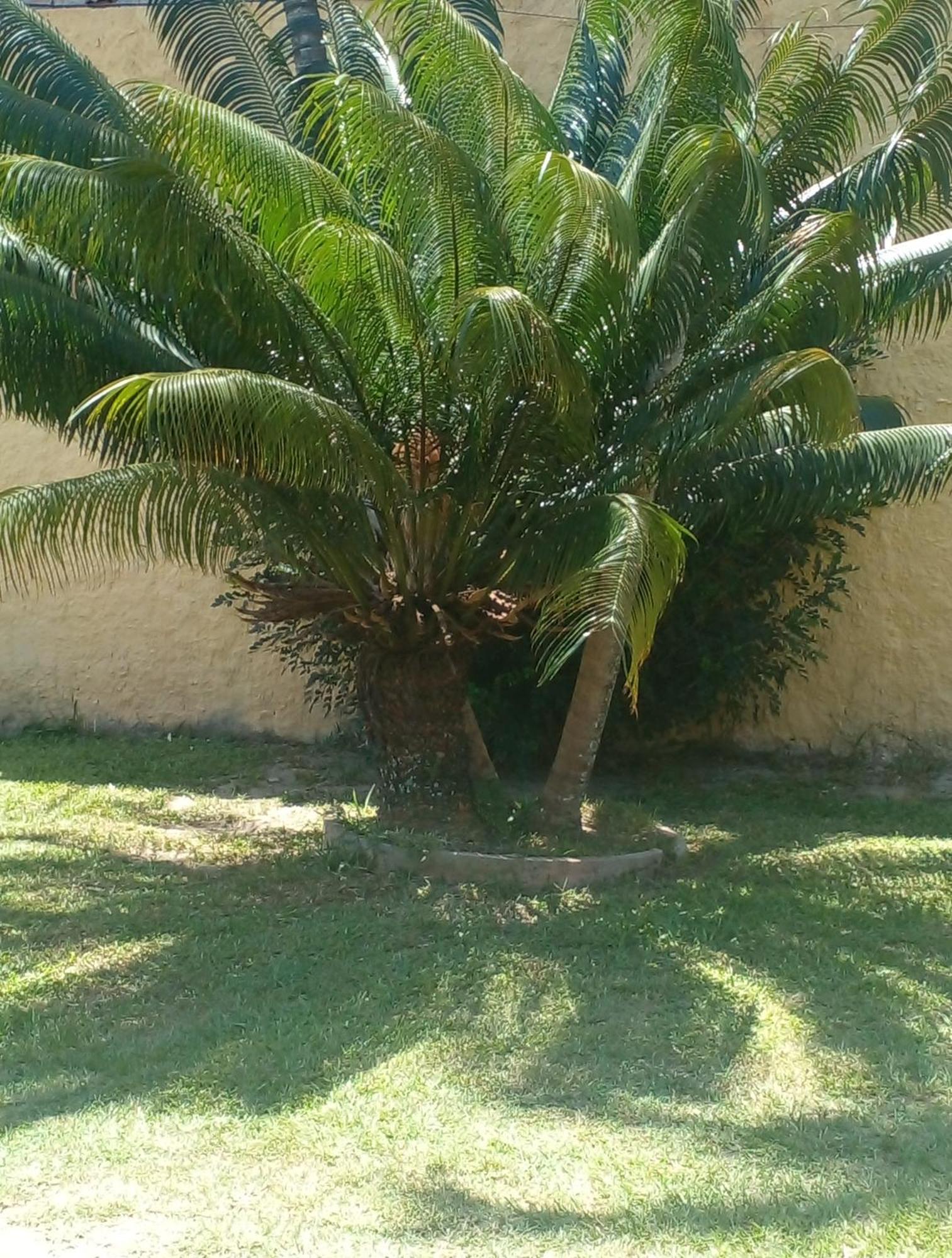 Ferienwohnung Ap Buzios Exterior foto